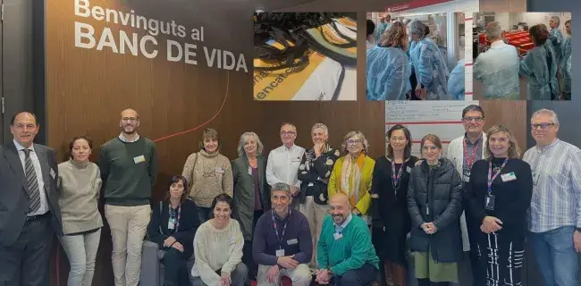 Presentació del Programa de 2025 de Sostenibilitat d'UCF amb EADA